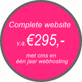 webdesign zwolle basiswebsite