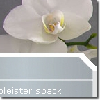 one4design
            webdesign zwolle 17