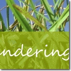 webdesign zwolle 46
