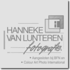 webdesign zwolle 48