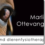 webdesign zwolle 52