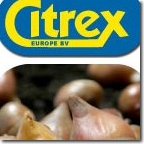 webdesign zwolle 53