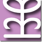 webdesign zwolle 54