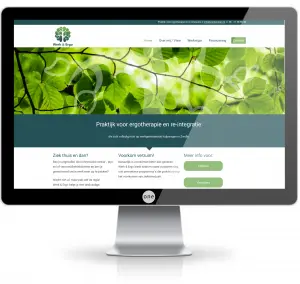 website laten maken monitor-werkenergo