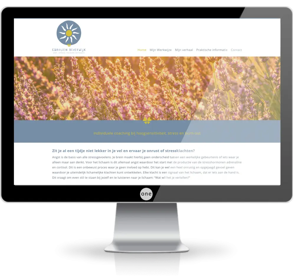 website laten maken monitorbeverwijk 1